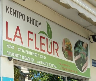 Screenshot_2020-05-29 lafleur pireas - Google Search(1).png